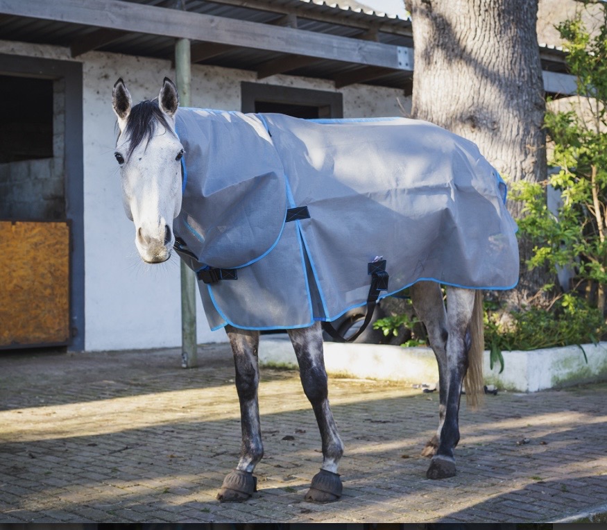 Sun and Fly Sheet